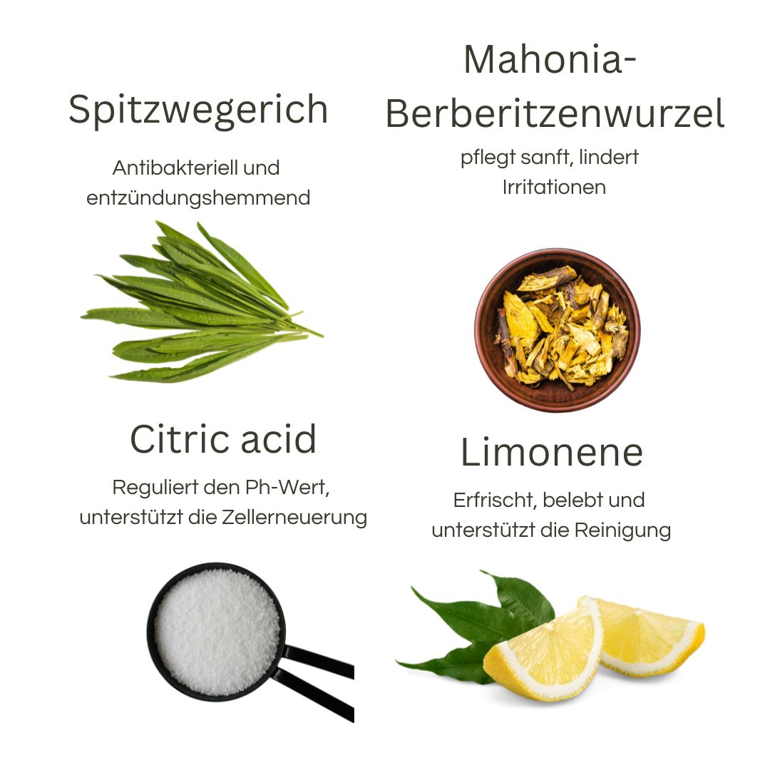 Reinigungsschaum – Sanfte, antibakterielle Gesichtsreinigung gegen Unreinheiten – 125 ml