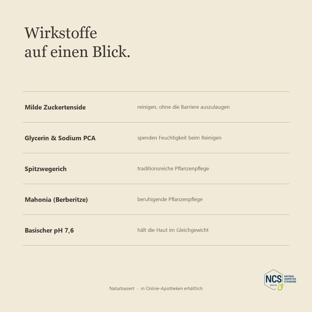 LUBANA Reinigungsschaum – Wirkstoffe auf einen Blick