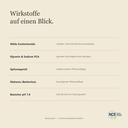 LUBANA Reinigungsschaum – Wirkstoffe auf einen Blick